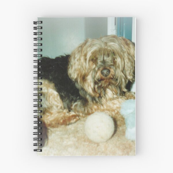 Item preview, Silky terrier, ¡Mis juguetes! designed and sold by carolynannwatso.