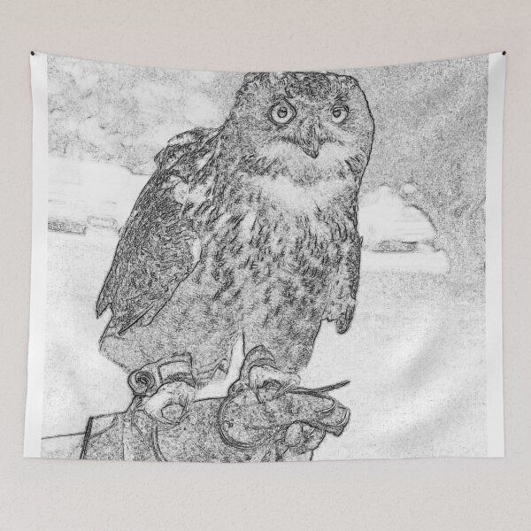 Item preview, Owl Sketch designed and sold by Mrspink16.