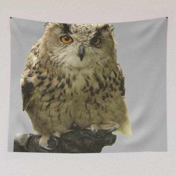 Item preview, Owl On A Windy Day designed and sold by Mrspink16.