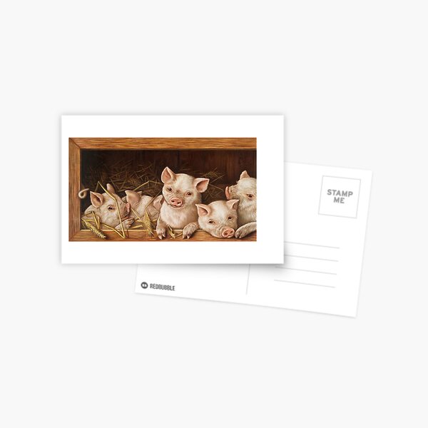 Piglet Litter in a Crate Postcard