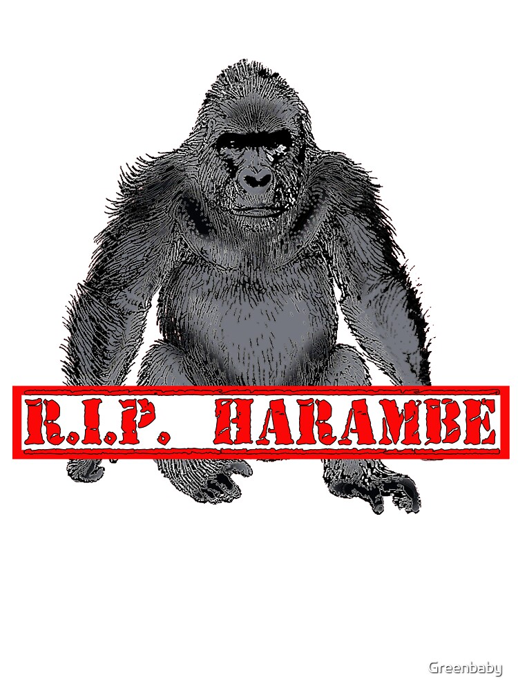 rip harambe t shirt