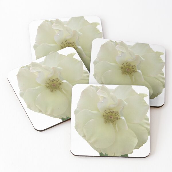 Item preview, Floribunda Rose Flower BR designed and sold by PLANTONE.