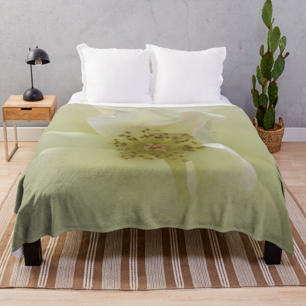 Item preview, Floribunda Rose Flower BR designed and sold by PLANTONE.
