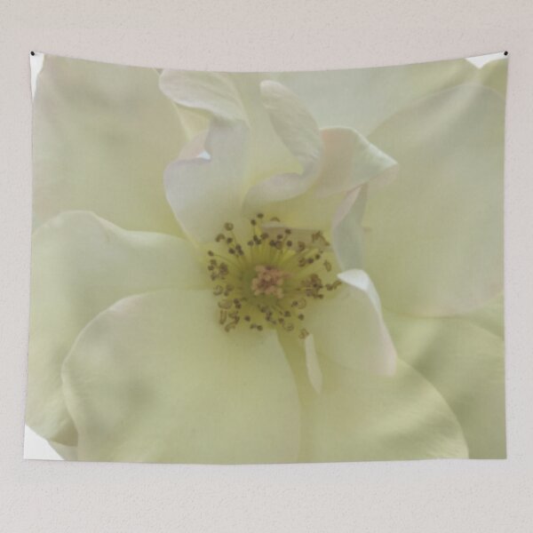 Item preview, Floribunda Rose Flower BR designed and sold by PLANTONE.