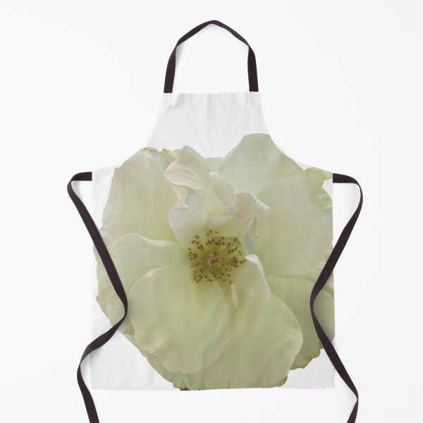 Item preview, Floribunda Rose Flower BR designed and sold by PLANTONE.