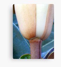 Appealing Metal Print