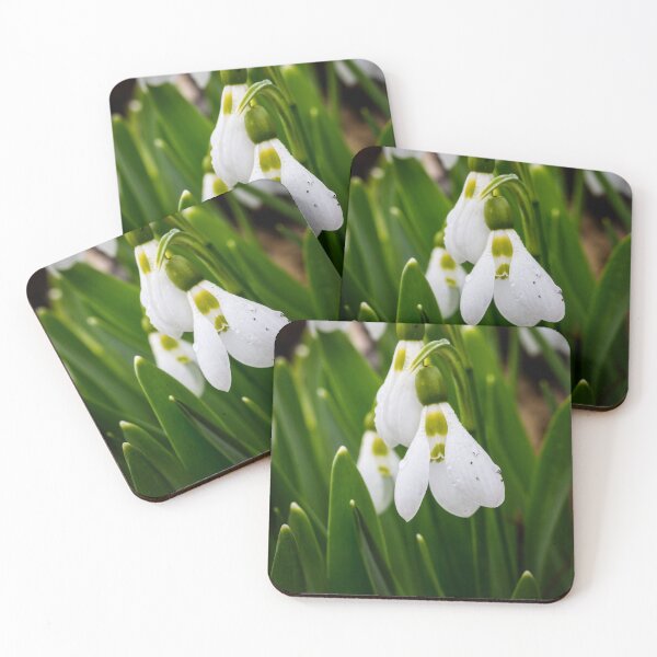 Item preview, Snowdrops 3 designed and sold by Robert Alsop.