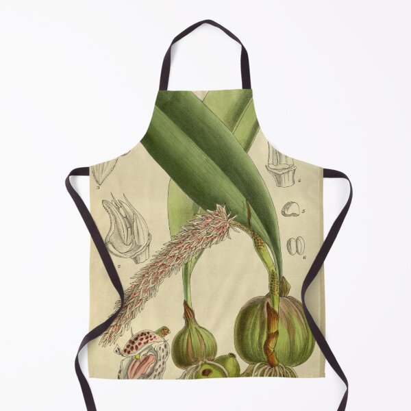 Item preview, Bulbophyllum lilacinum 143 8723 designed and sold by EsotericBotanic.