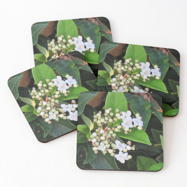 Item preview, Small white flowers designed and sold by greentiger1.