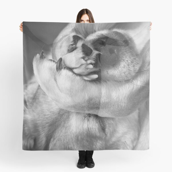 Just Napping Scarf