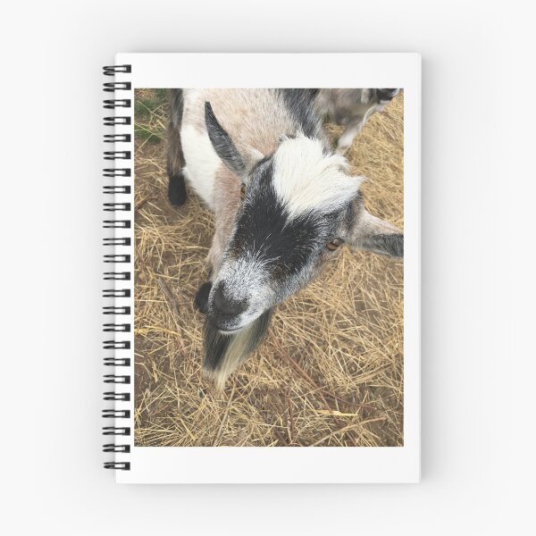 Item preview, Curious Goat designed and sold by CatAndClaw.