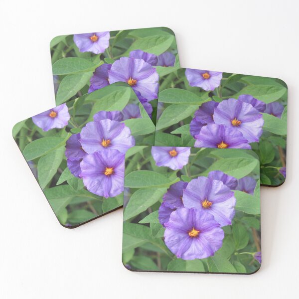 Item preview, Paraguay nightshade flowers designed and sold by greentiger1.