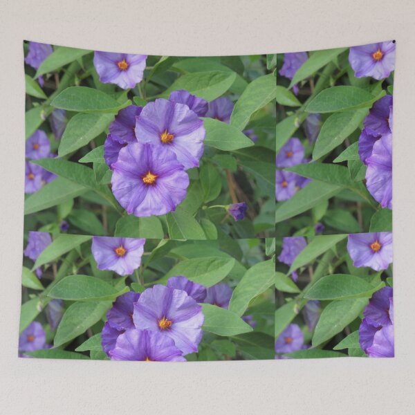 Item preview, Paraguay nightshade flowers designed and sold by greentiger1.