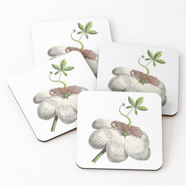 Item preview, Vintage Mystery Flower Botanical Print designed and sold by Vicky Brago-Mitchell®.
