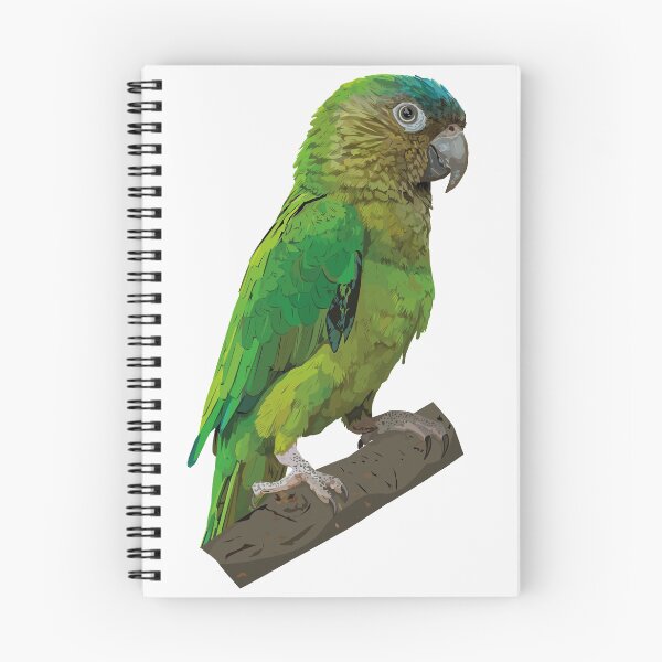 Item preview, Brown-throated Parakeet designed and sold by obscurite.