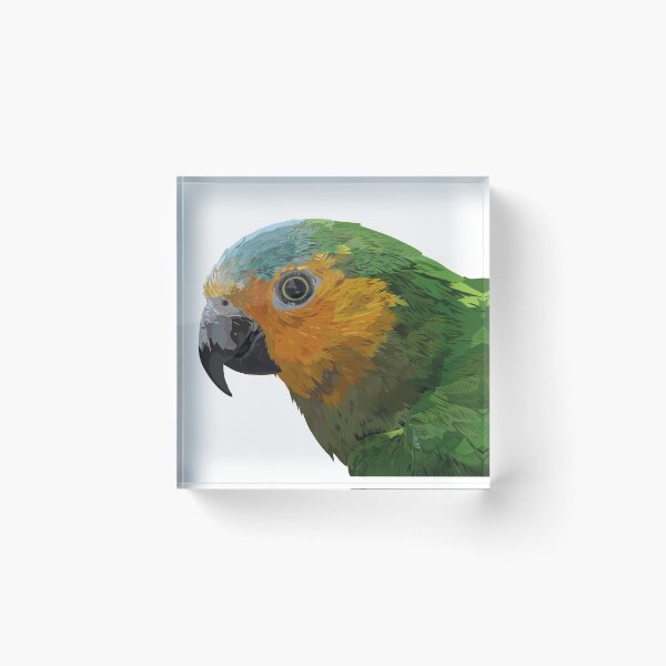 Item preview, Brown-throated Parakeet designed and sold by obscurite.