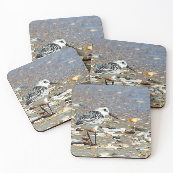 Item preview, Sand Piper Watching  designed and sold by ncNatureVisions.