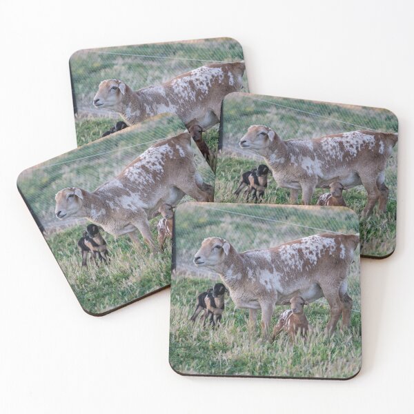 Item preview, LAMBS! designed and sold by twelvepointfour.