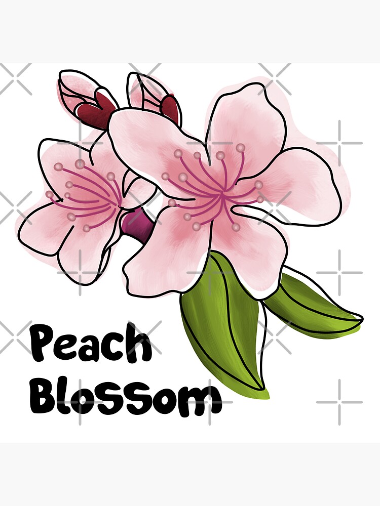 Sticker peach blossom 
