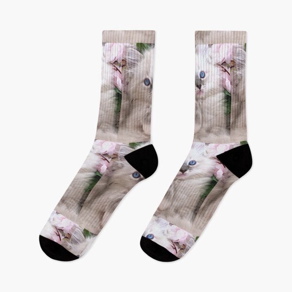 Item preview, Copy of Ragdoll kitten spring blossoms designed and sold by Fluffycat2020.