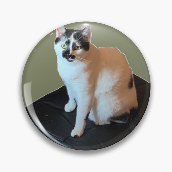 Item preview, Cookie The Cat  Glamour Shot designed and sold by CookieMart.