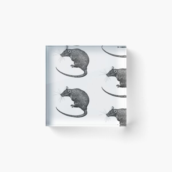 Item preview, Sweet Rat designed and sold by salvicorn.