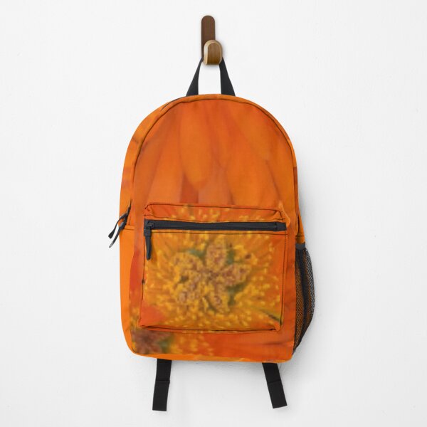 Item preview, Orange Flower Malephora BR designed and sold by PLANTONE.