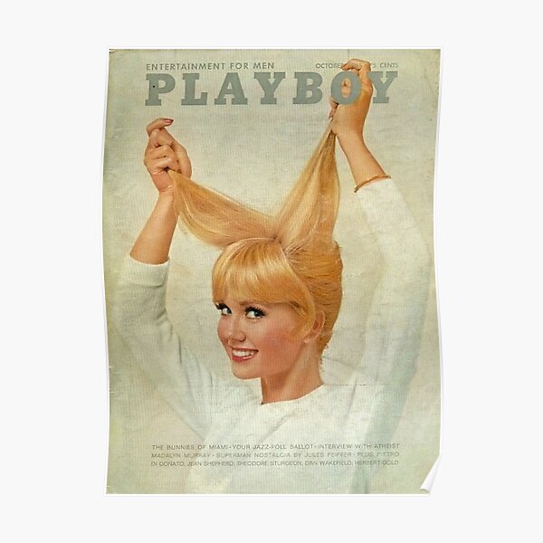 Sexy Artist Plaboys Art Poster
