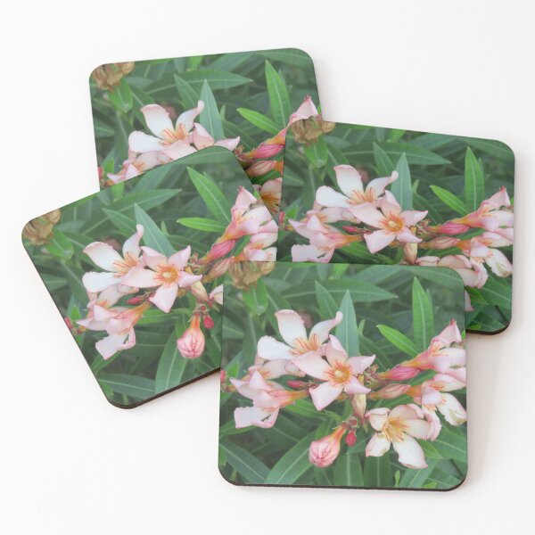Item preview, Pink stripy oleander designed and sold by greentiger1.