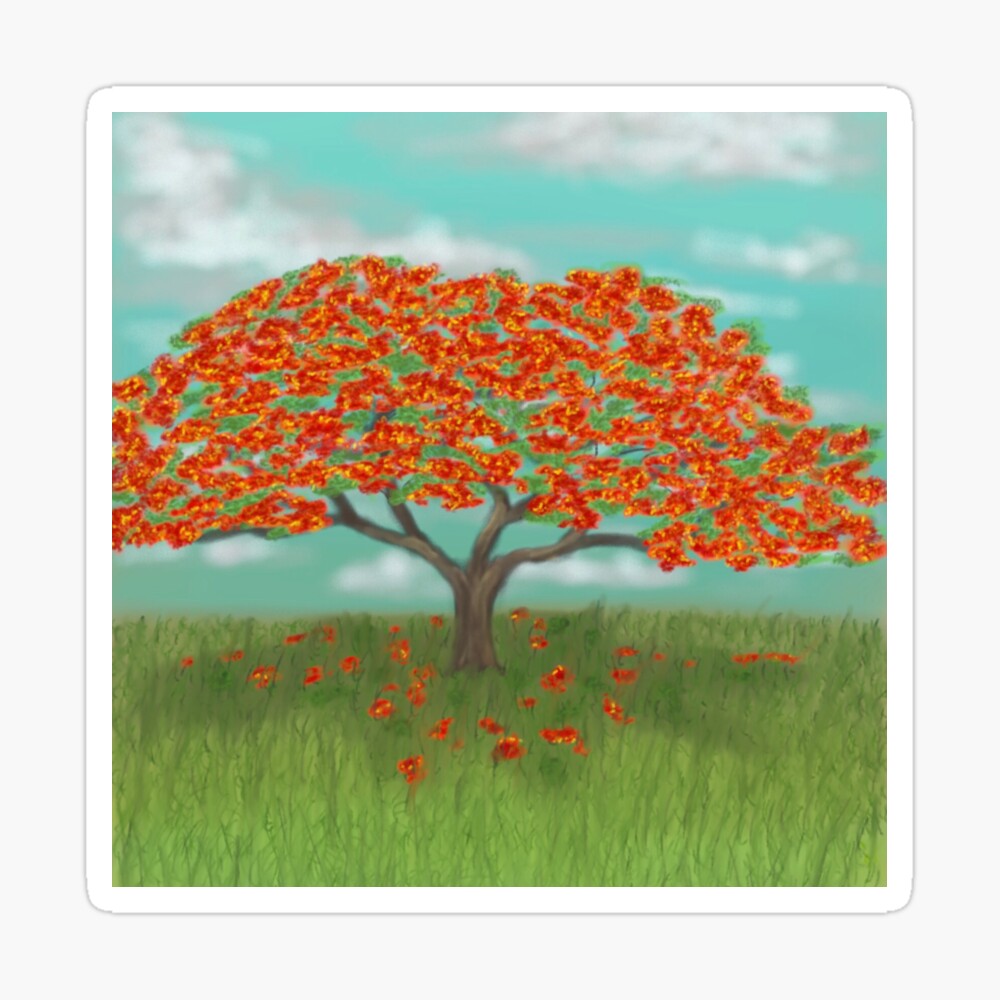 Gulmohar Tree Greeting Cards for Sale - Fine Art America