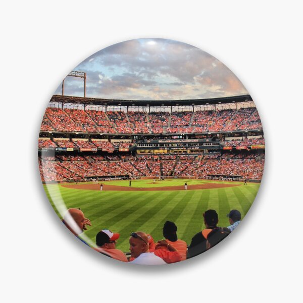 Item preview, Birdland Stadium designed and sold by InvictusPhotog.