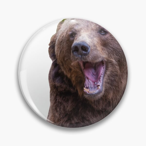 Artikelvorschau, Relaxter Braunbär entworfen und verkauft von Ingo Gerlach.