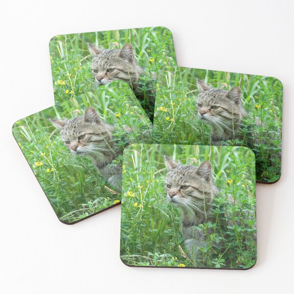 Item preview, Wild cat in the meadow designed and sold by Ingo Gerlach.