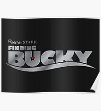 Póster Encontrar Bucky