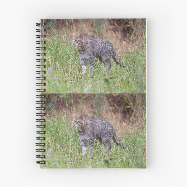 Item preview, Wild cat on the hunt designed and sold by Ingo Gerlach.