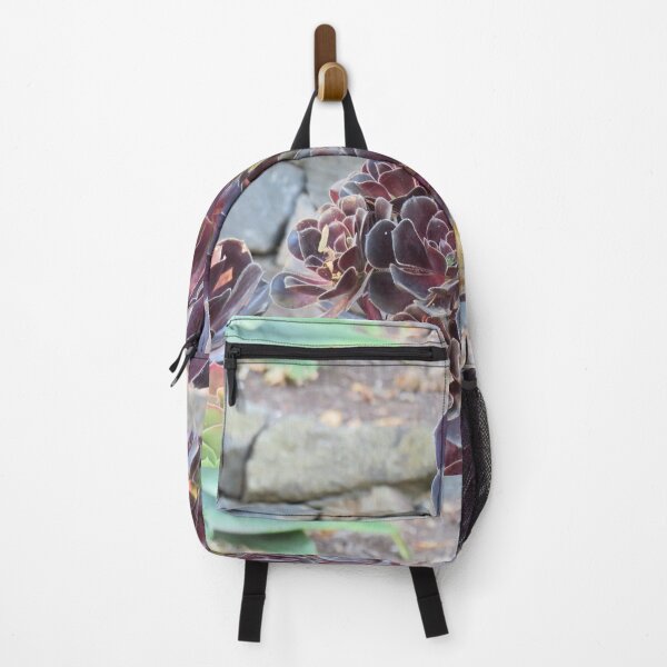 Item preview, Aeonium schwarzkopf designed and sold by greentiger1.