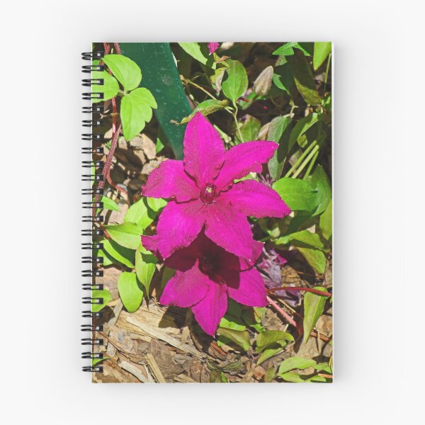 Item preview, KE Clematis Study 1  designed and sold by Robert Meyers-Lussier.