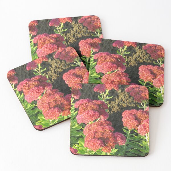 Item preview, Red showy stonecrop designed and sold by greentiger1.