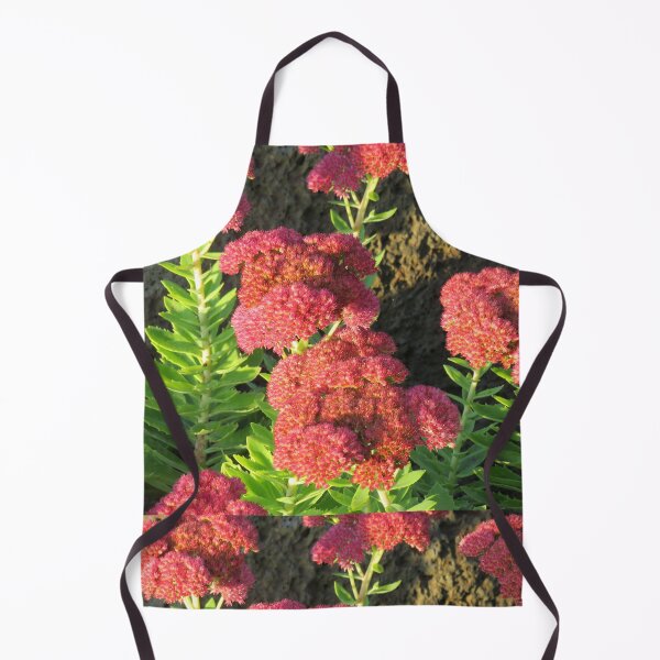 Item preview, Red showy stonecrop designed and sold by greentiger1.