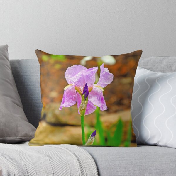 Item preview, KE Iris Study 2  designed and sold by Robert Meyers-Lussier.
