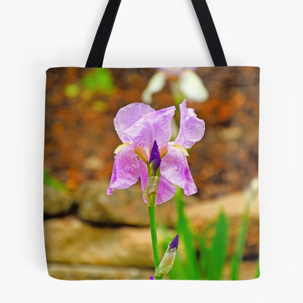 Item preview, KE Iris Study 2  designed and sold by Robert Meyers-Lussier.