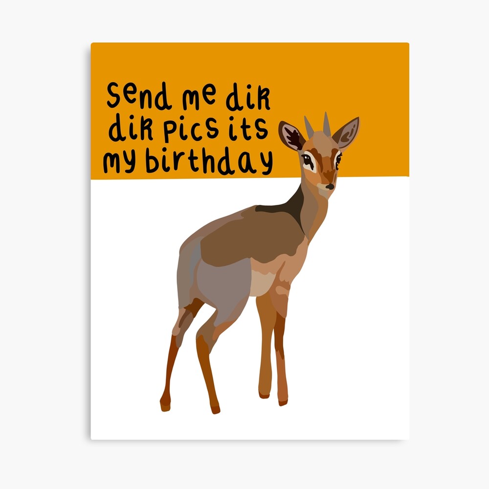 Send me dik dik pics its my birthday 