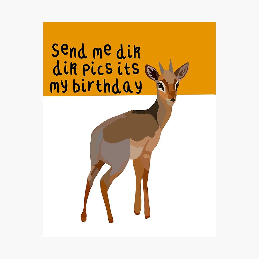 Send me dik dik pics its my birthday 