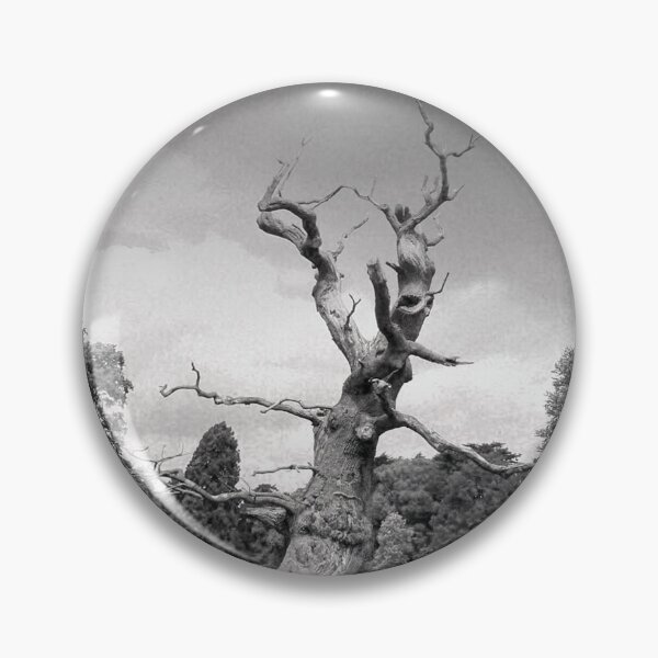 Item preview, Old Tree Westonbirt Arboretum Cotswolds England designed and sold by AndyEvansPhotos.
