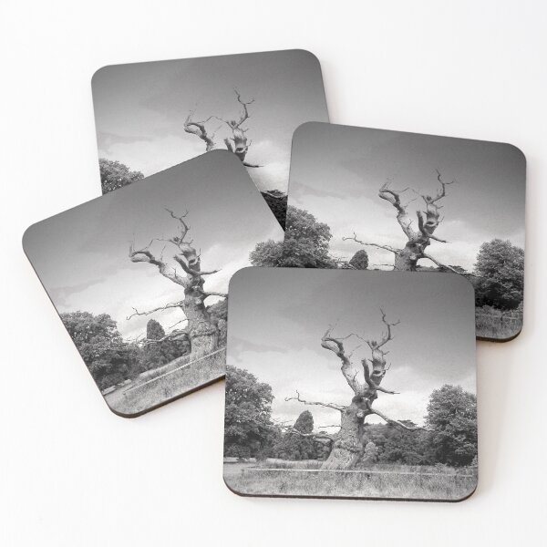 Item preview, Old Tree Westonbirt Arboretum Cotswolds England designed and sold by AndyEvansPhotos.