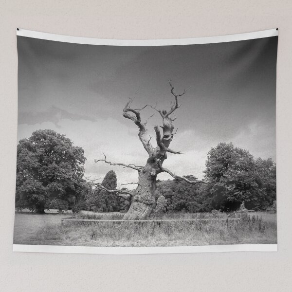 Item preview, Old Tree Westonbirt Arboretum Cotswolds England designed and sold by AndyEvansPhotos.