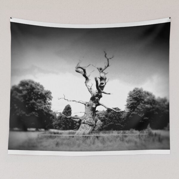 Item preview, Old Tree Westonbirt Arboretum Cotswolds England designed and sold by AndyEvansPhotos.