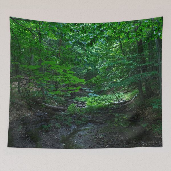 Item preview, Forest Bathing - Wooded Glen for a Healing Immersion in Nature designed and sold by Georgia Mizuleva.