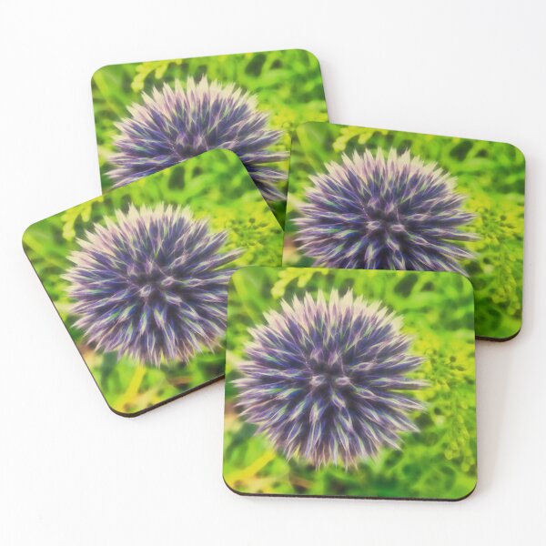Item preview, glandular globe-thistle – pale globe-thistle – echinops sphaerocephalus ¦  designed and sold by nature. electrified..