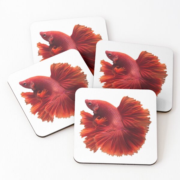 Item preview, Red Betta designed and sold by DoodleDashCollective.